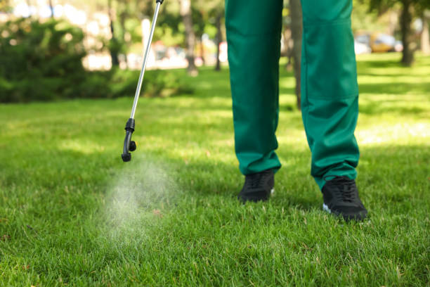 Best Emergency Pest Control  in Humboldt, IA