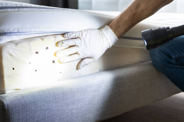 Best Commercial Pest Control Services  in Humboldt, IA