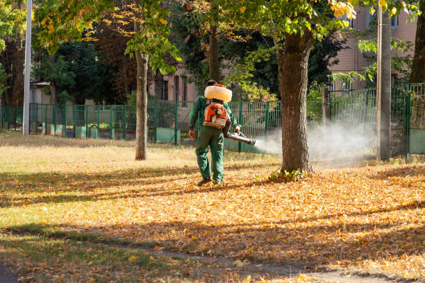Wildlife Control Services in Humboldt, IA