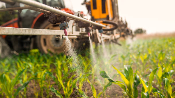 Best Pest Inspection Near Me  in Humboldt, IA